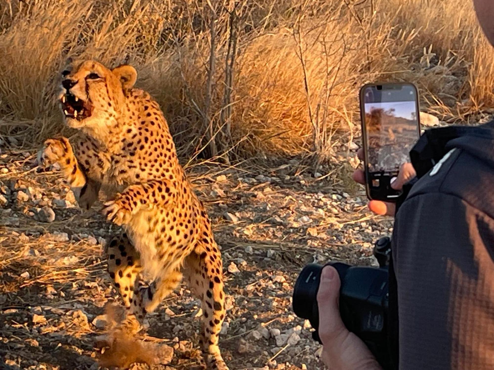 Aloegrove Safari Lodge Очиваронго Экстерьер фото